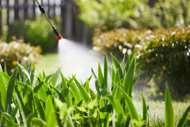 24/7 Emergency Ant Control experts in Hillside, IL